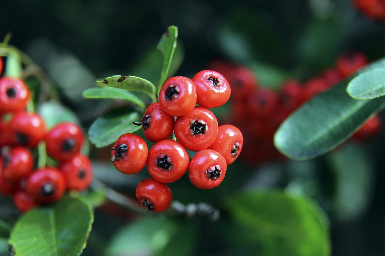 记者：浙江队计划在下周与青岛西海岸进行一场热身赛